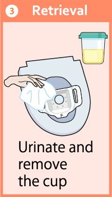 Urinate and remove the cup
